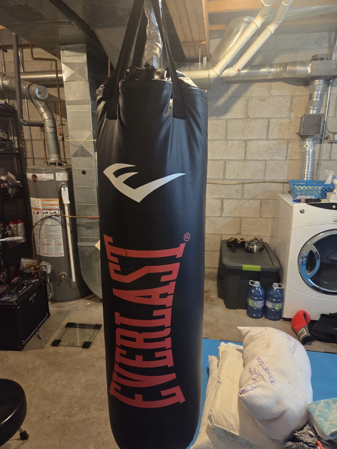 Everlast Punching Bag