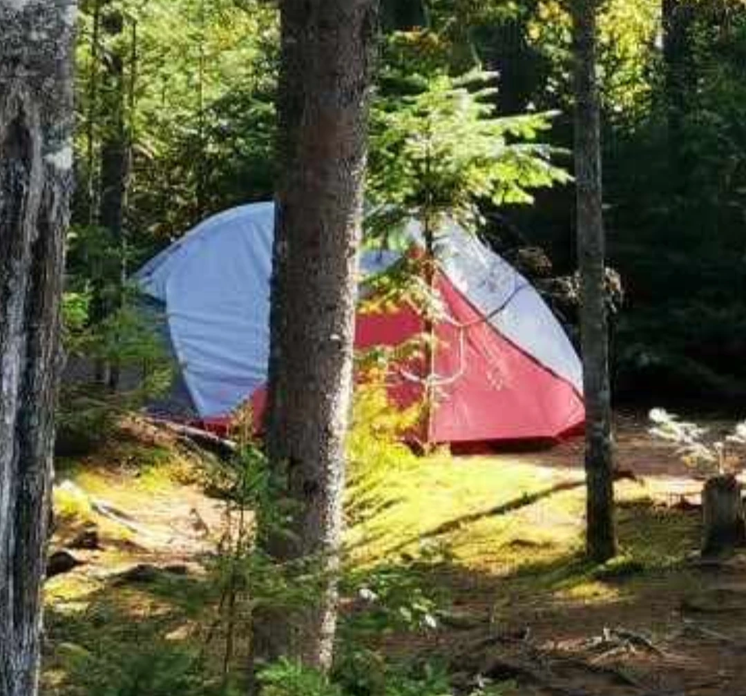 MSR Elixir 3 - backpacking tent - photo 3