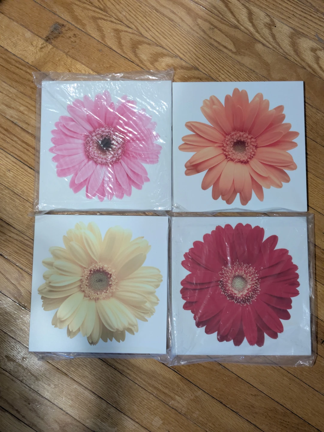 Set of 4 Floral Wall Art Prints