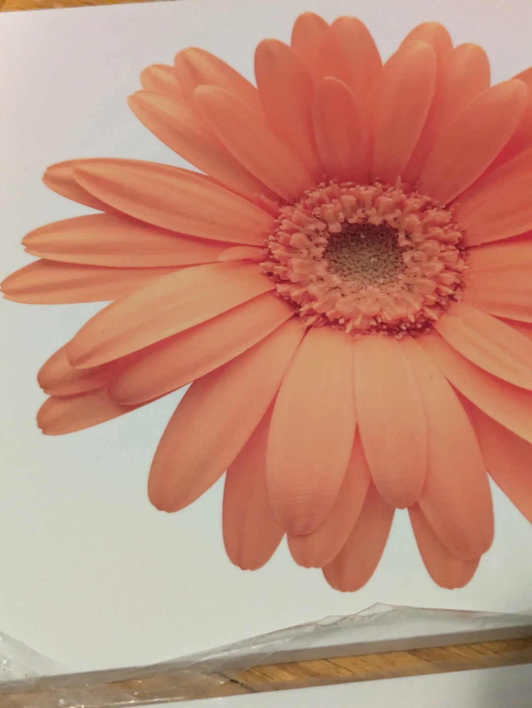 Set of 4 Floral Wall Art Prints - photo 3