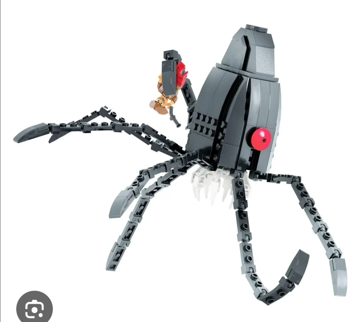 PlayDay Kraken