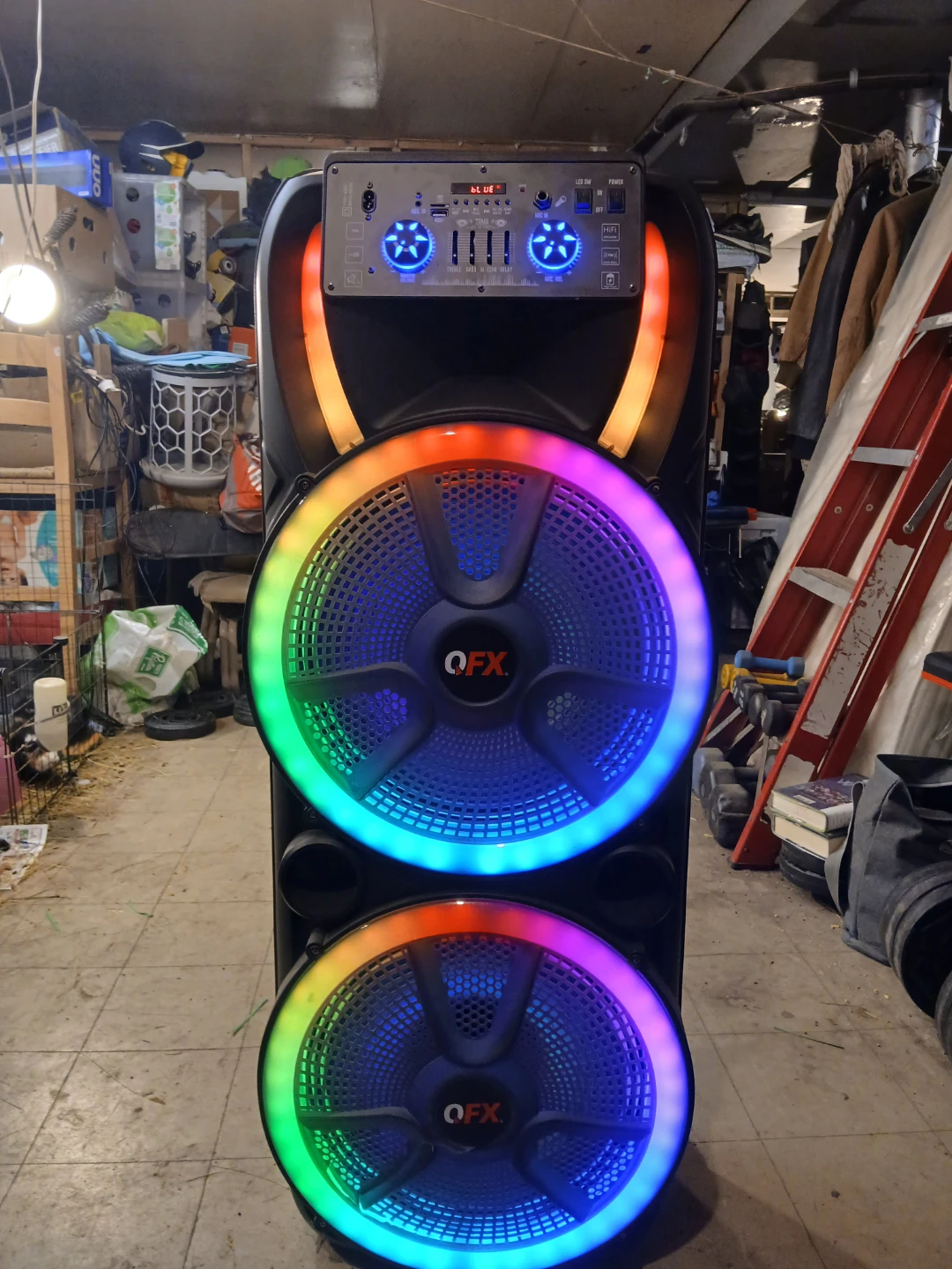 QFX Portable PA Speaker with 2 Microphones