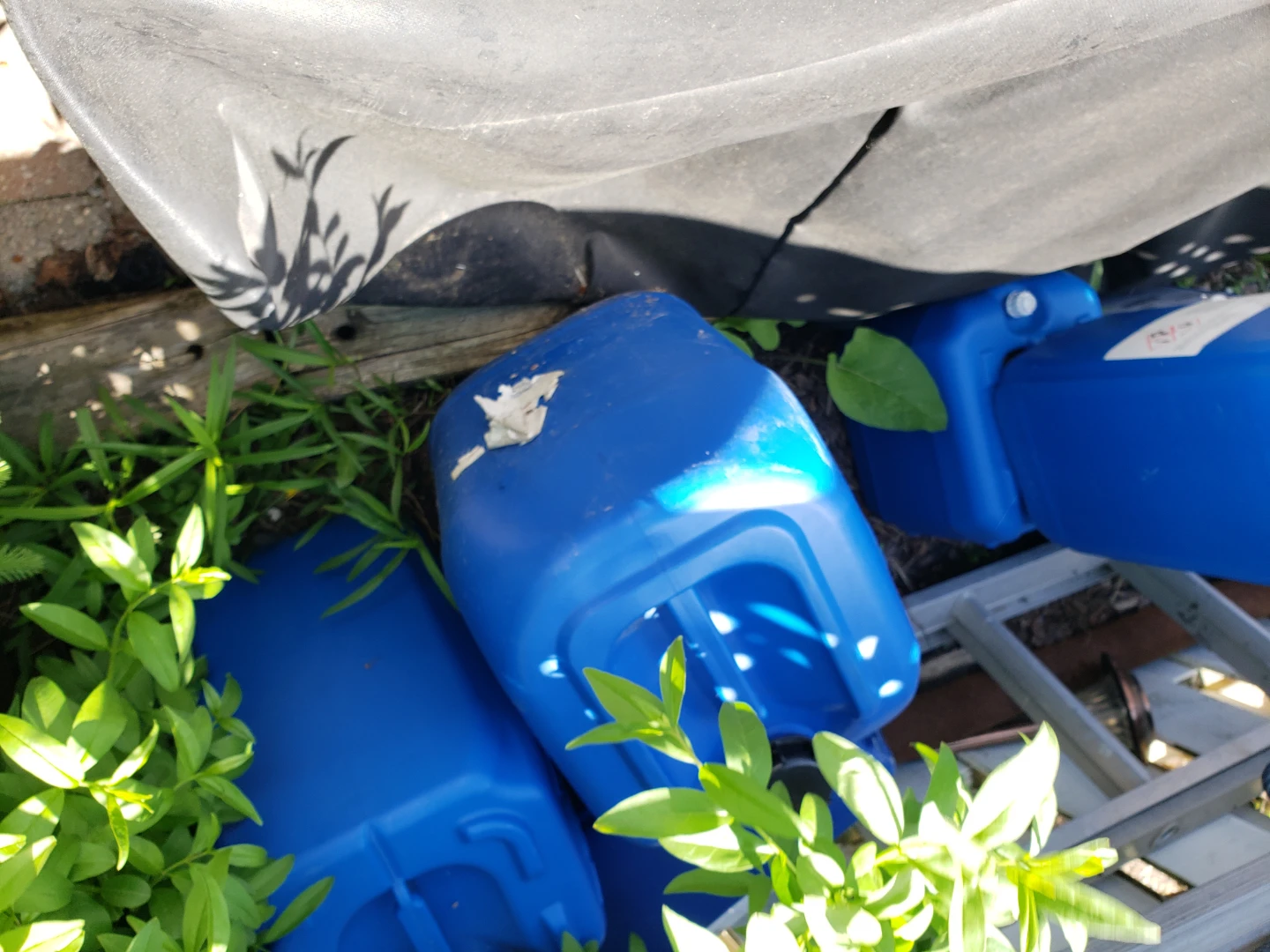 Bulk Jugs - photo 2
