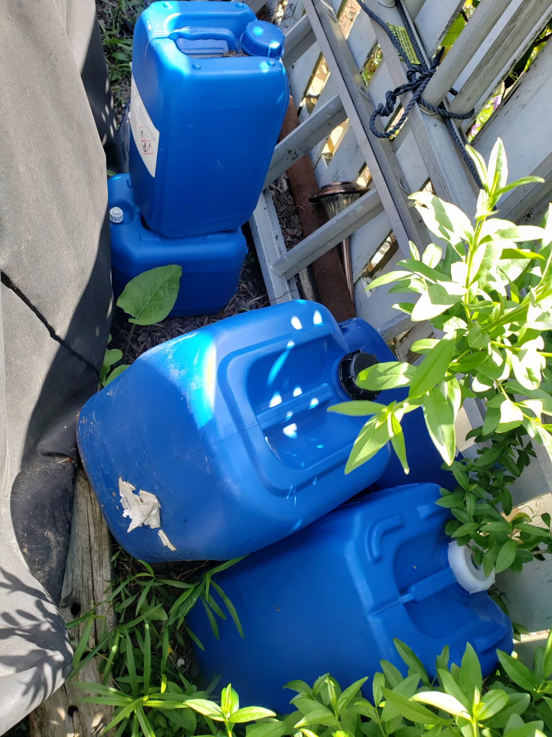 Bulk Jugs - photo 3