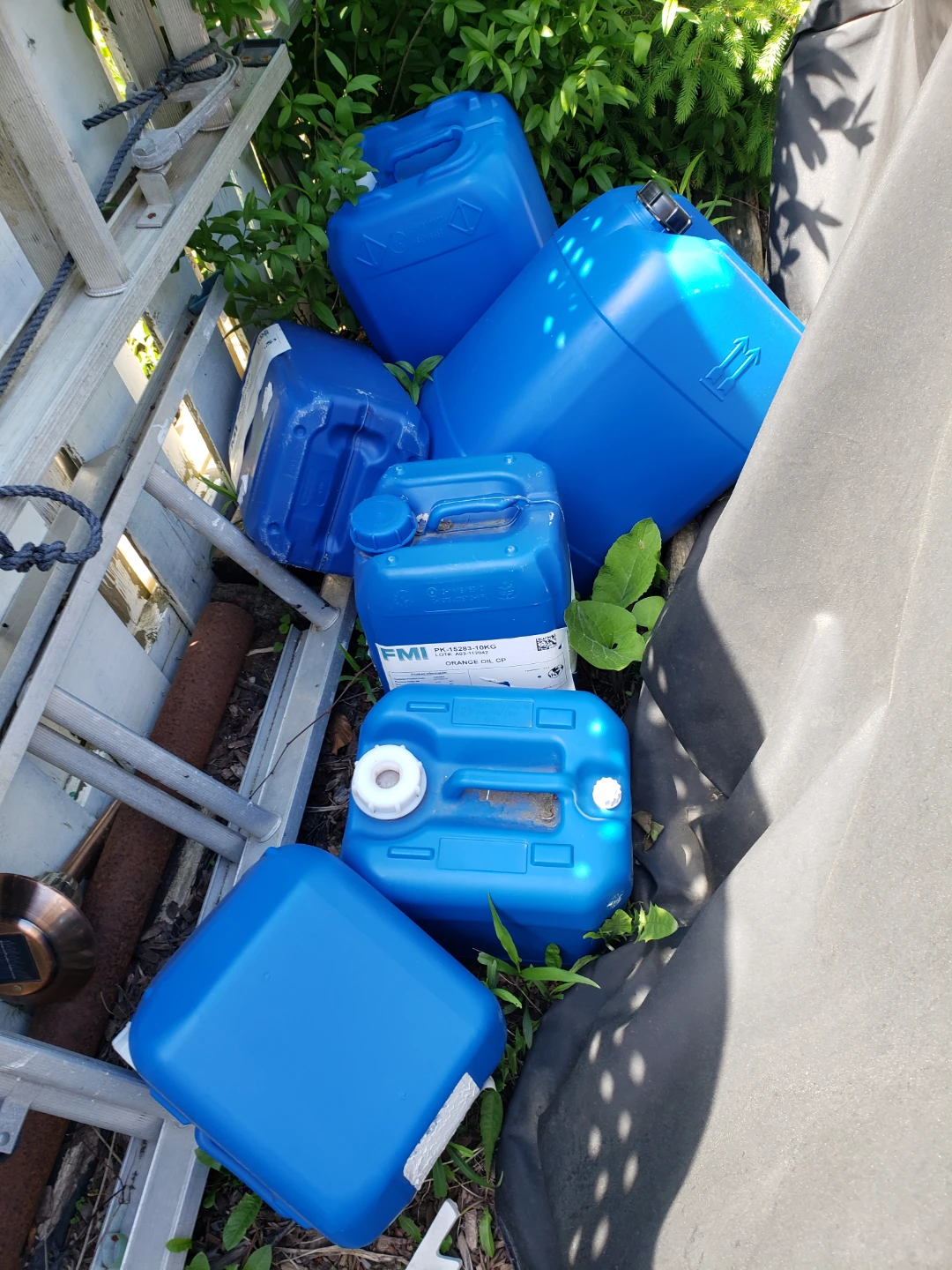 Bulk Jugs - photo 5