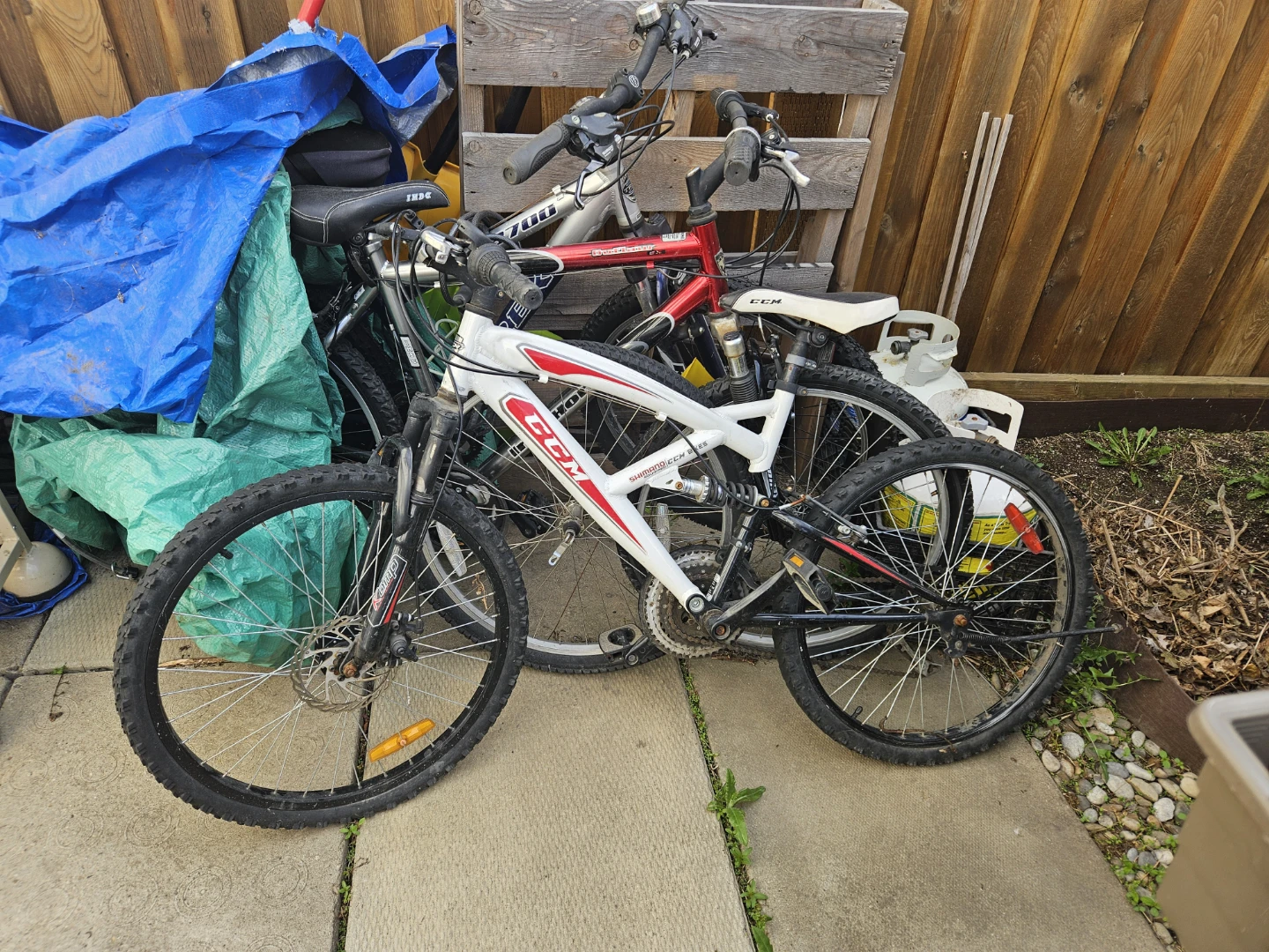 CCM Mountain Bike