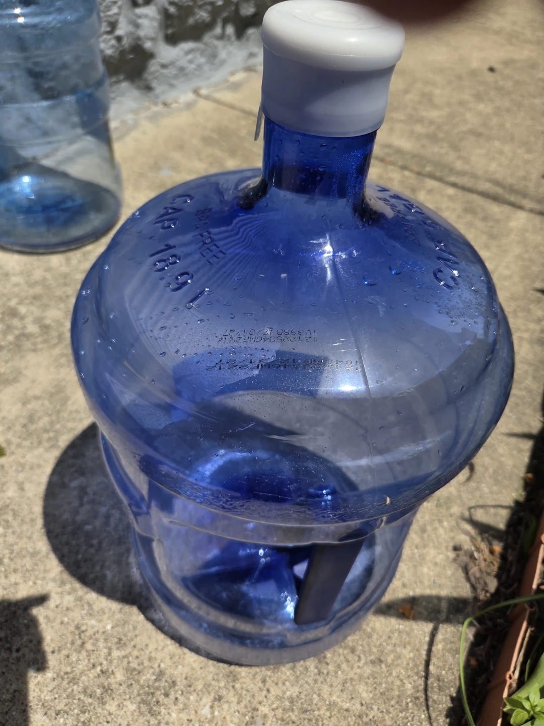 5 GALLON  WATER JUG