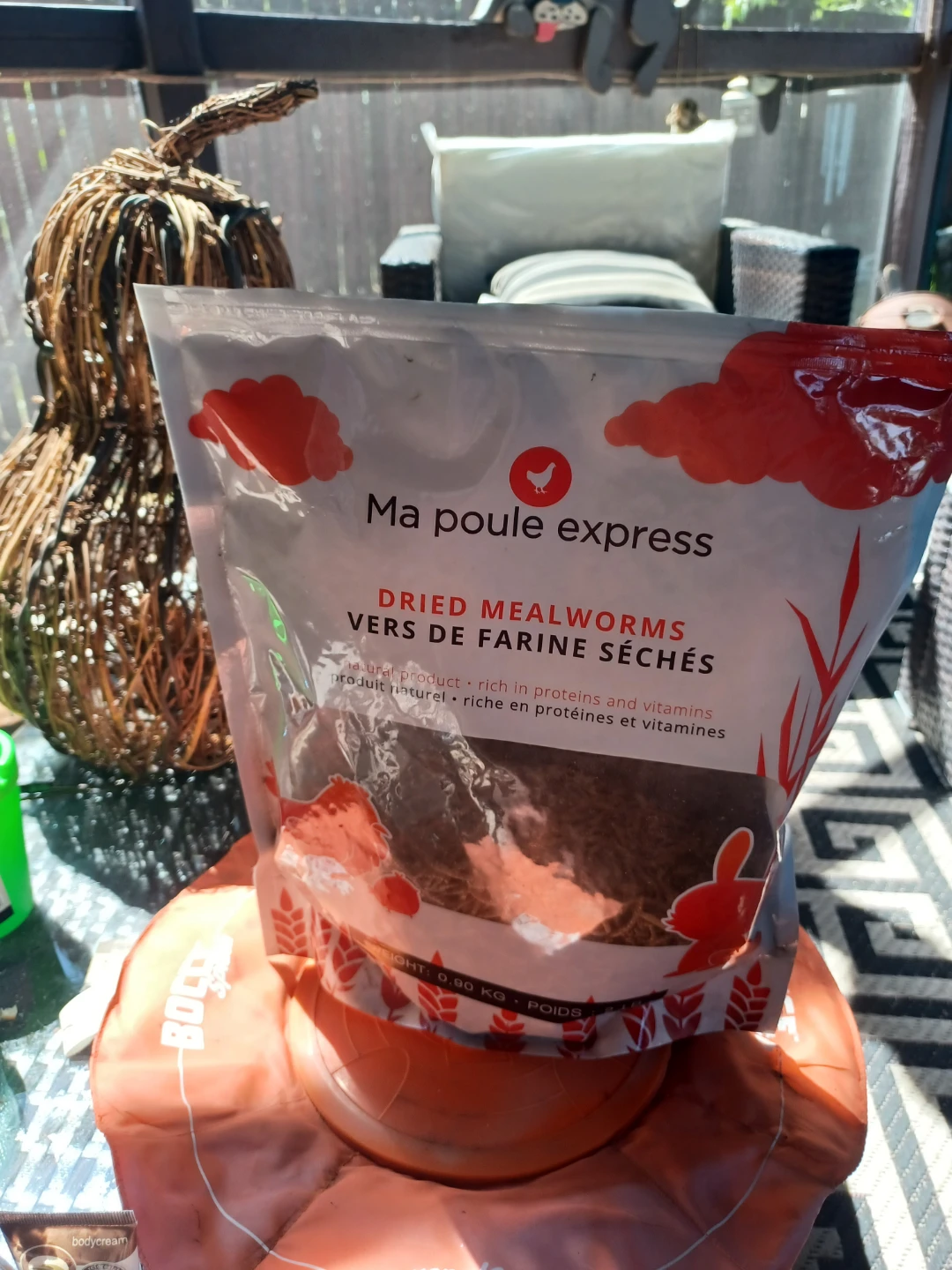 Ma poule express Dried Mealworms