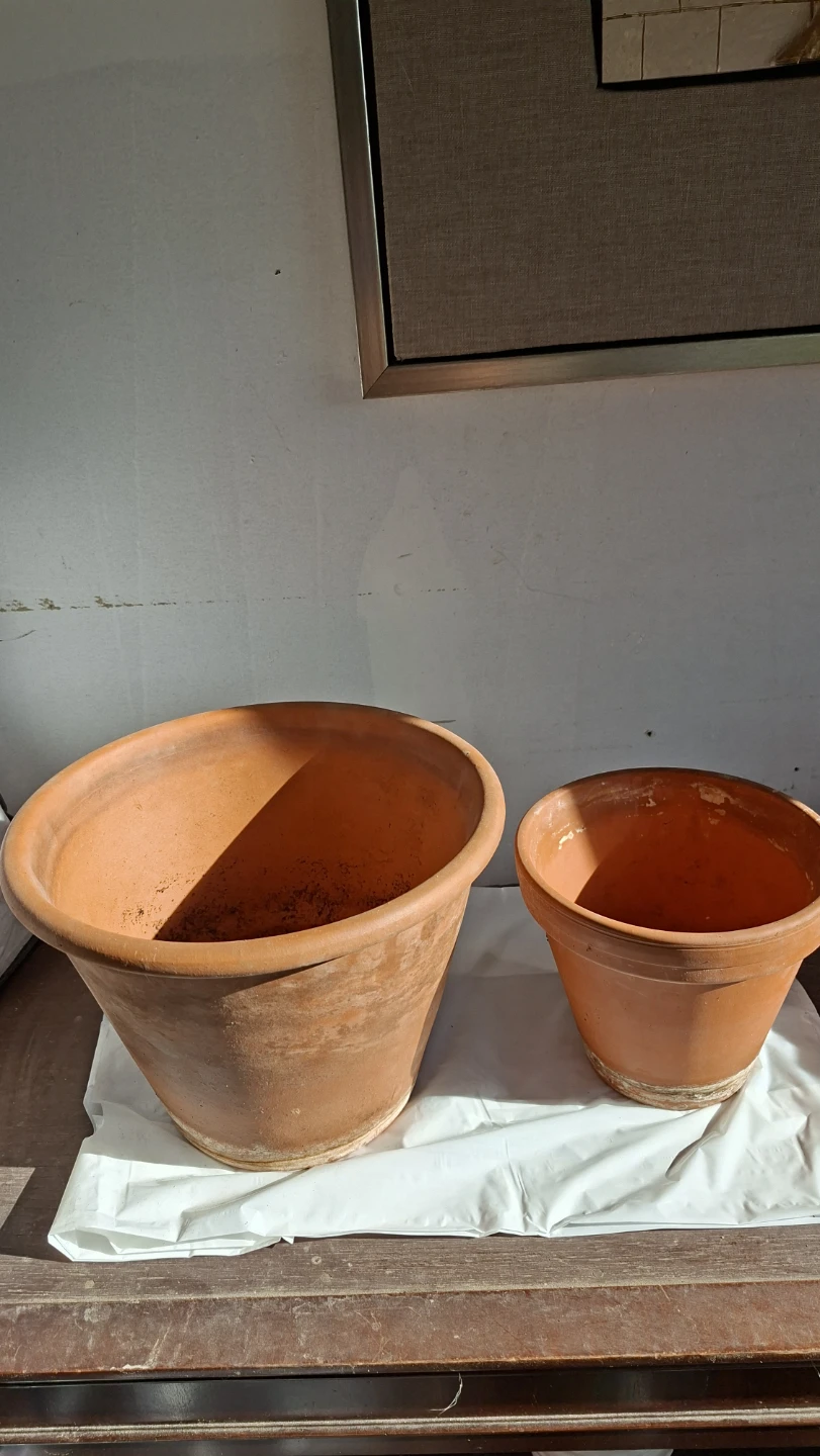 Terracotta Plant Pots