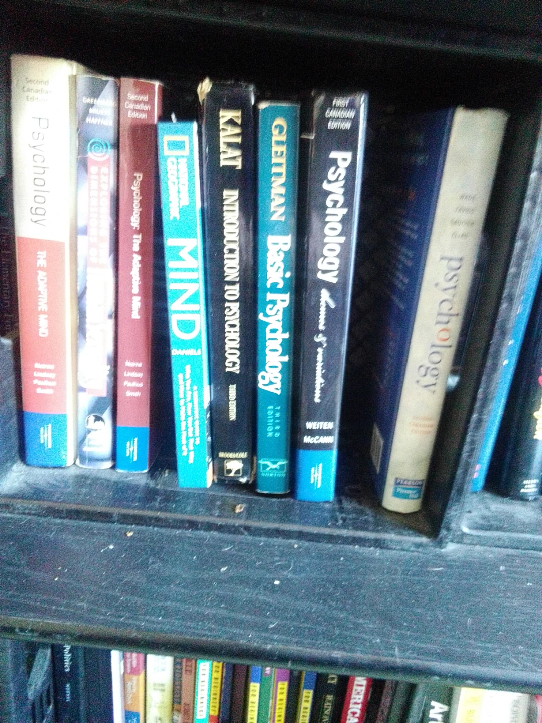 Assorted Psychology and Social Science Books - photo 2