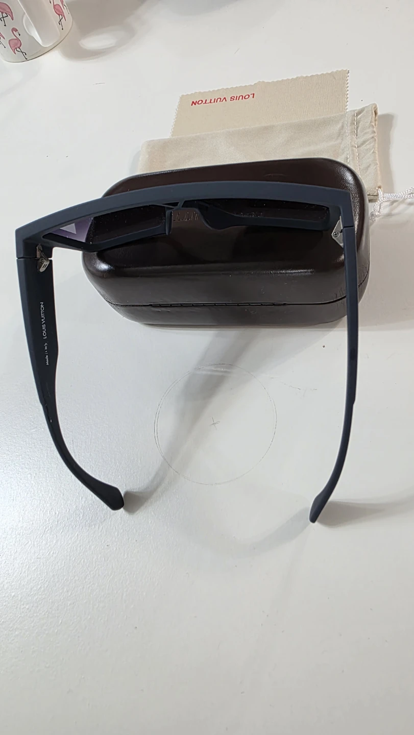 Sunglasses with Case - photo 3