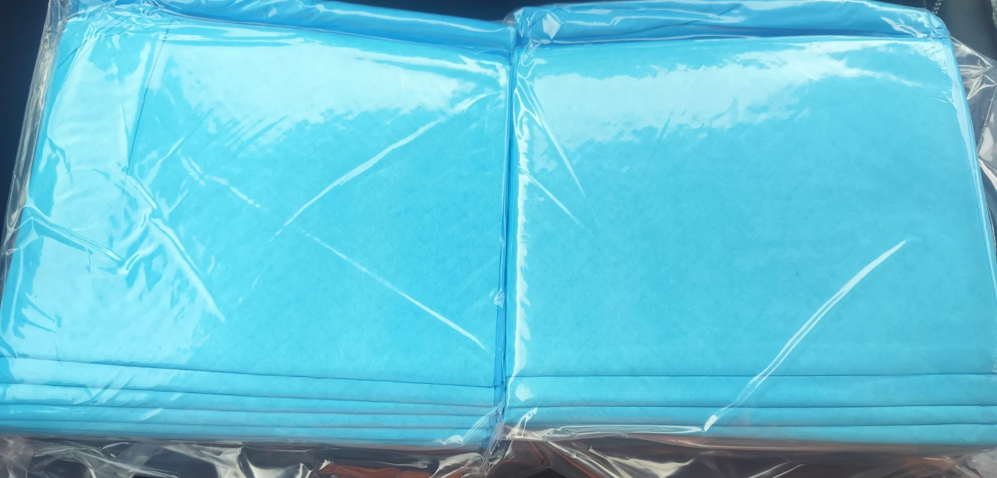 Blue Disposable Underpads 24" x 30" 50 ct.