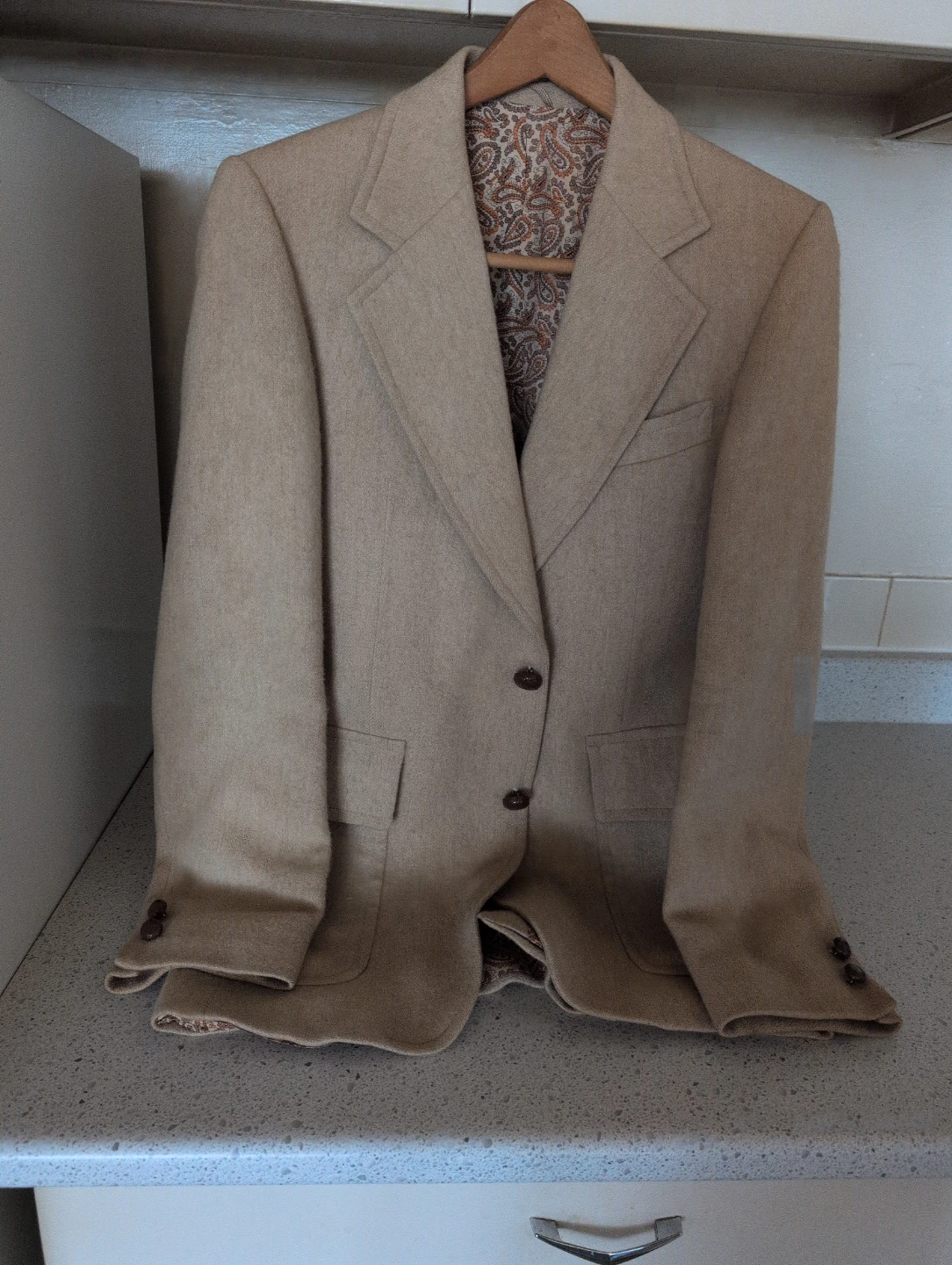 Leyshman Pure Camel Hair Jacket- Tan