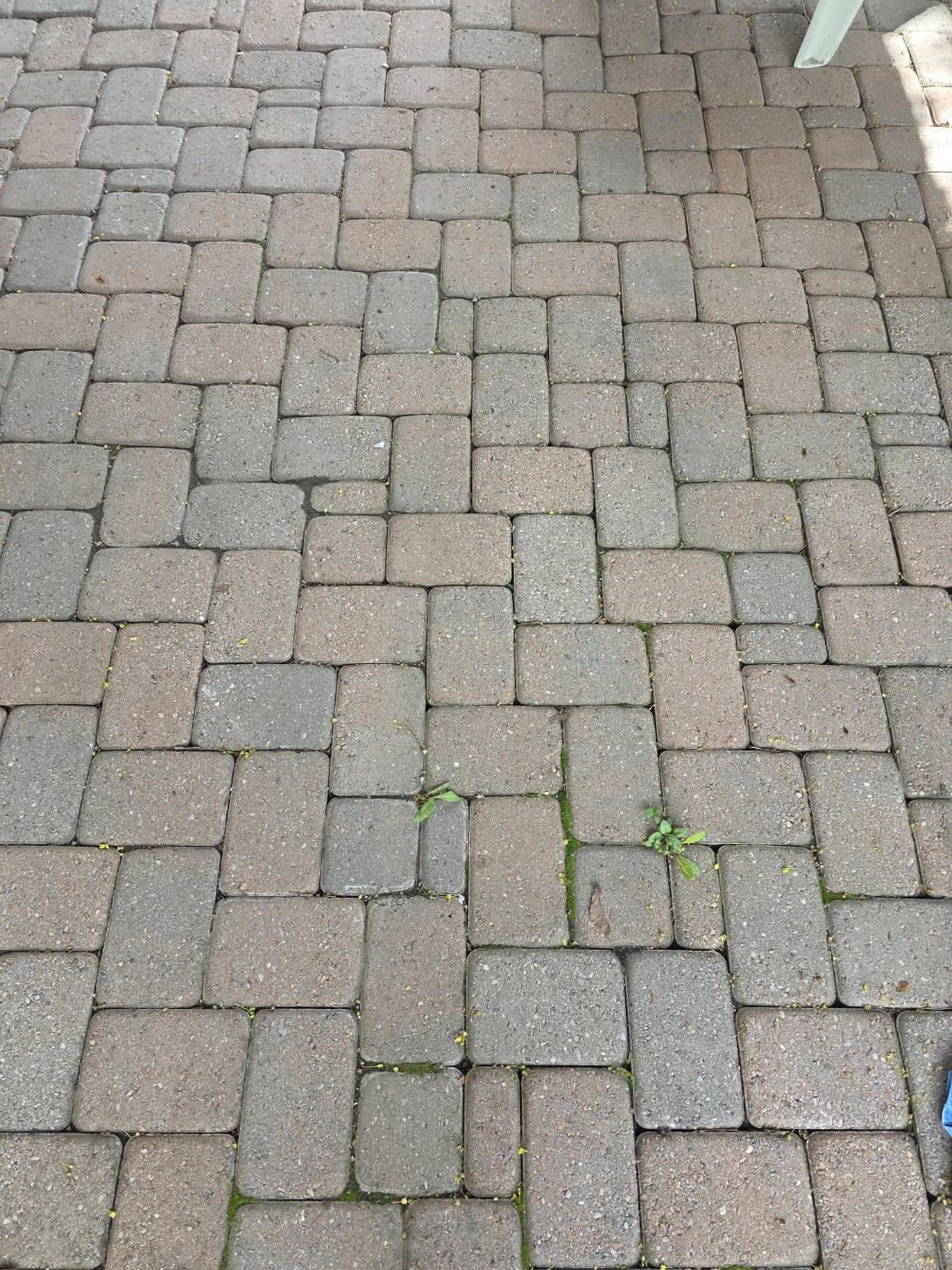 Pavers for patio or walkway - photo 2