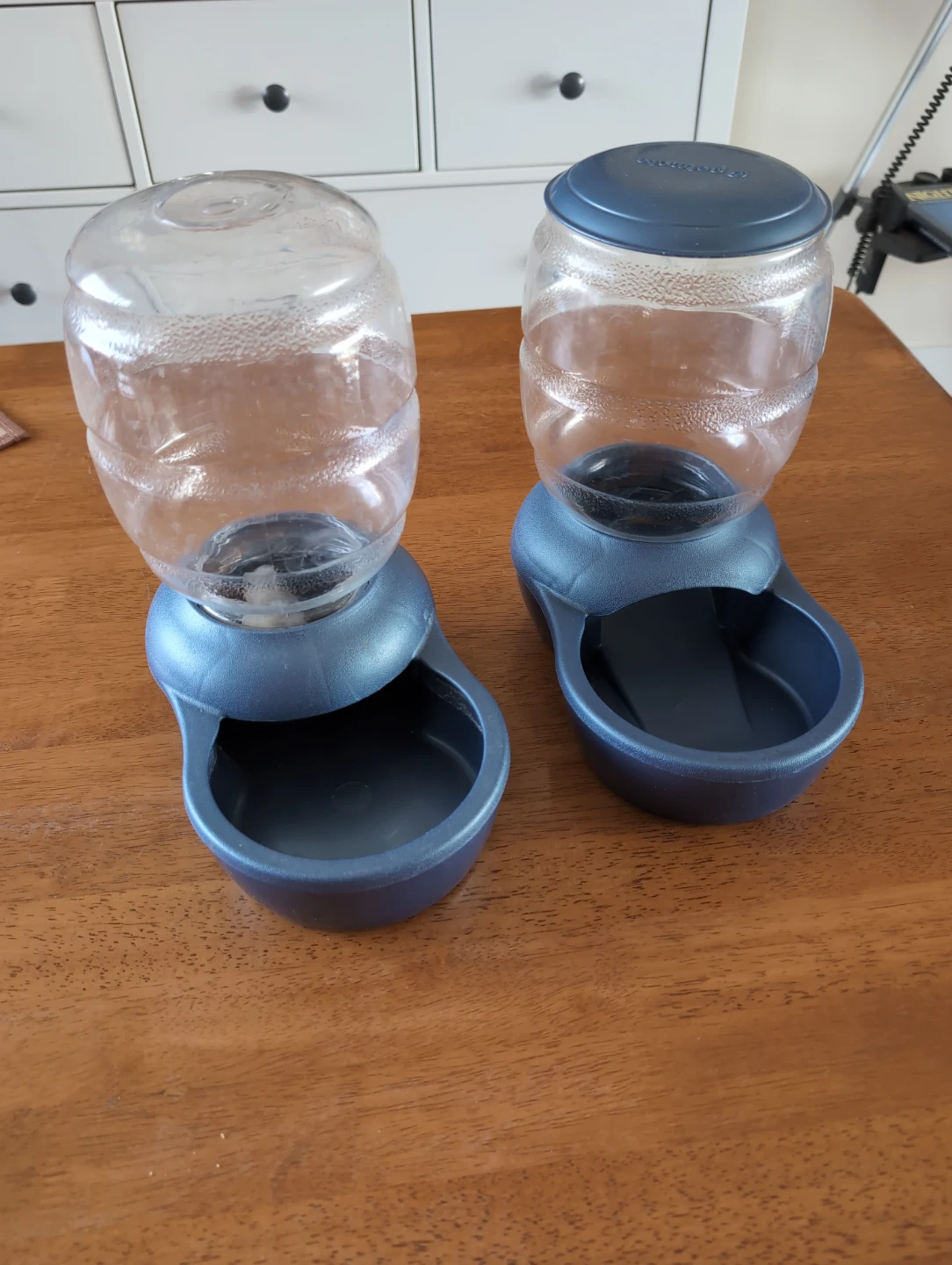 🐾 Automatic Pet Food & Water Dispenser Set 🐾