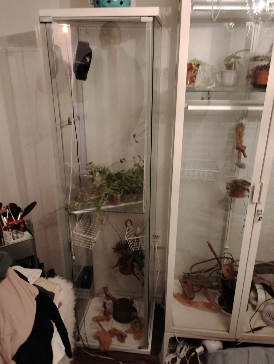 Greenhouse White Glass Display Cabinet