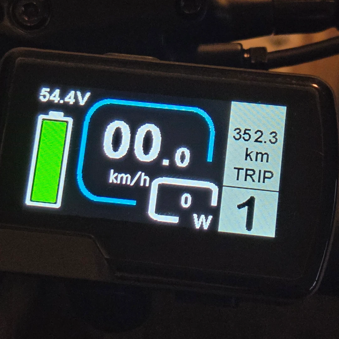 (Green) Envo E-Bike