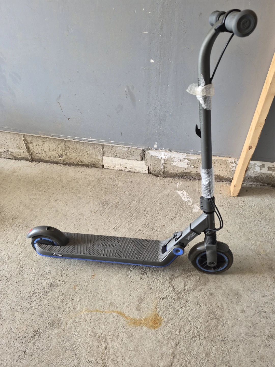 Ninebot Electric Scooter