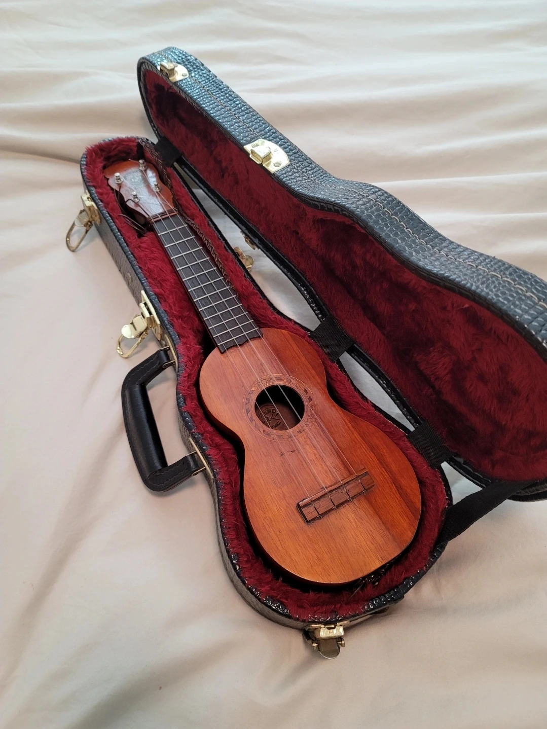 Ukulele with Hard Case