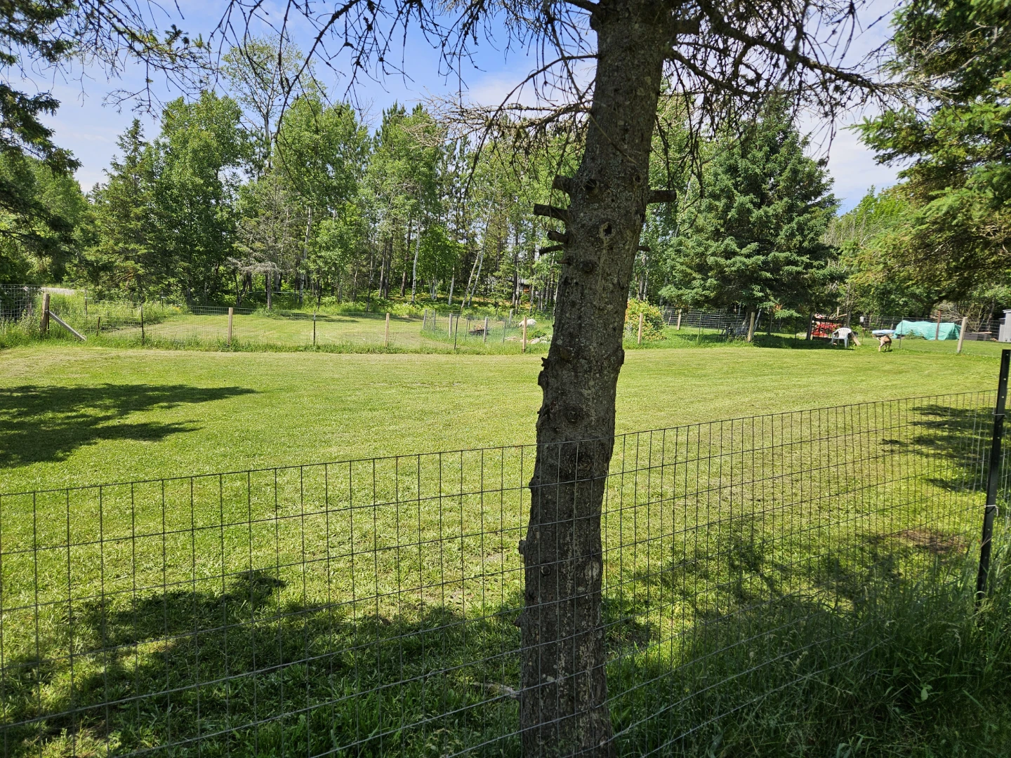 Rural Property with Mature Trees and Open Fields
