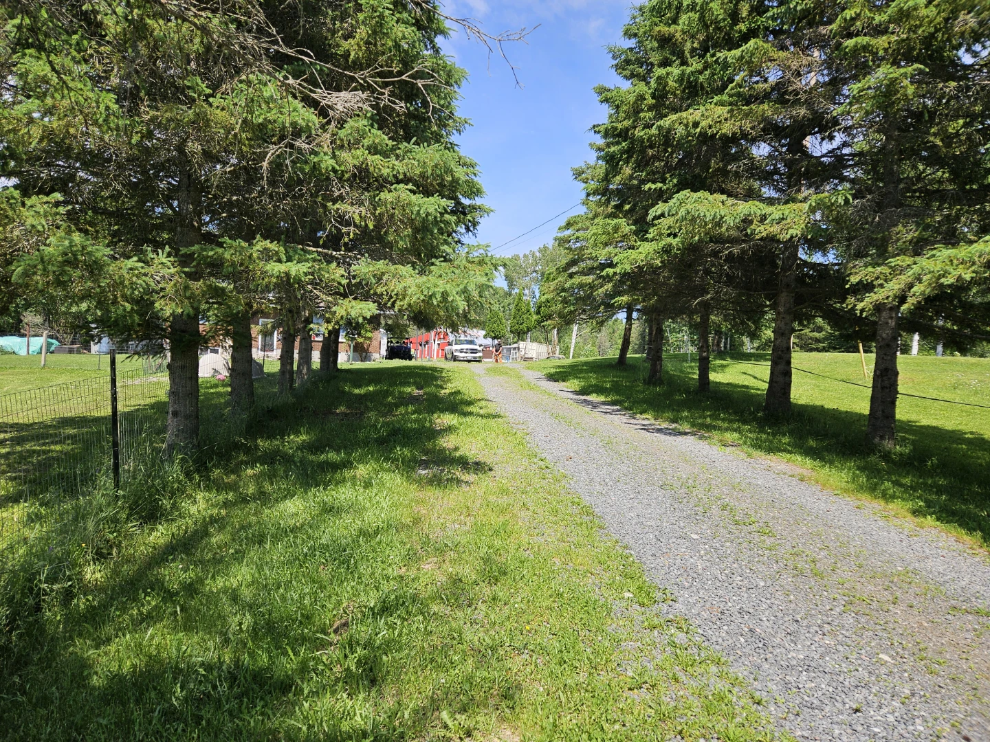Rural Property with Mature Trees and Open Fields - photo 2
