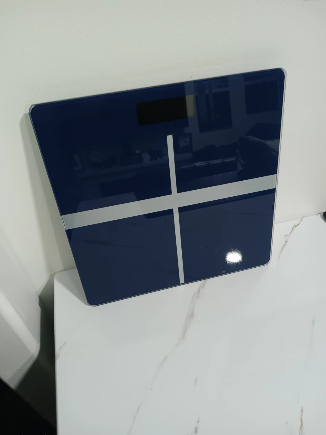 Blue Electronic Digital Scale - photo 5