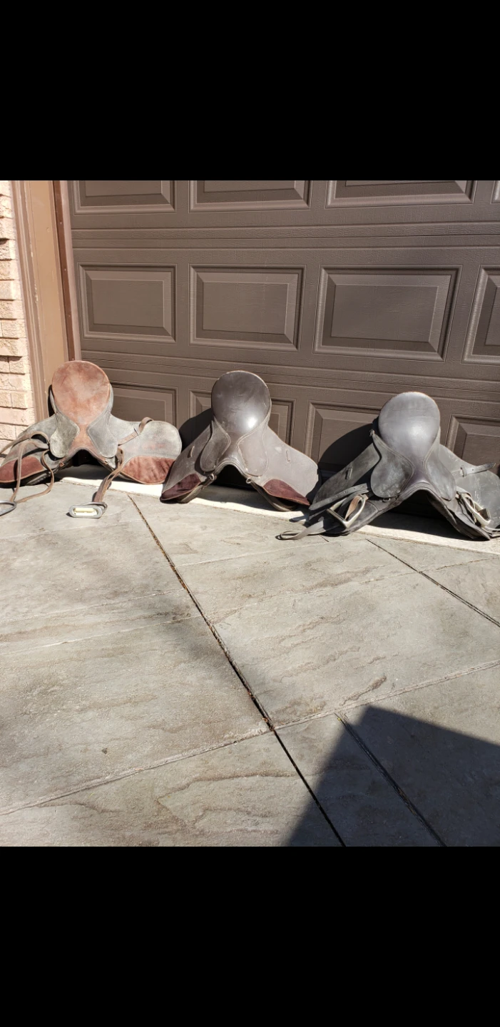 Three Horse Saddles