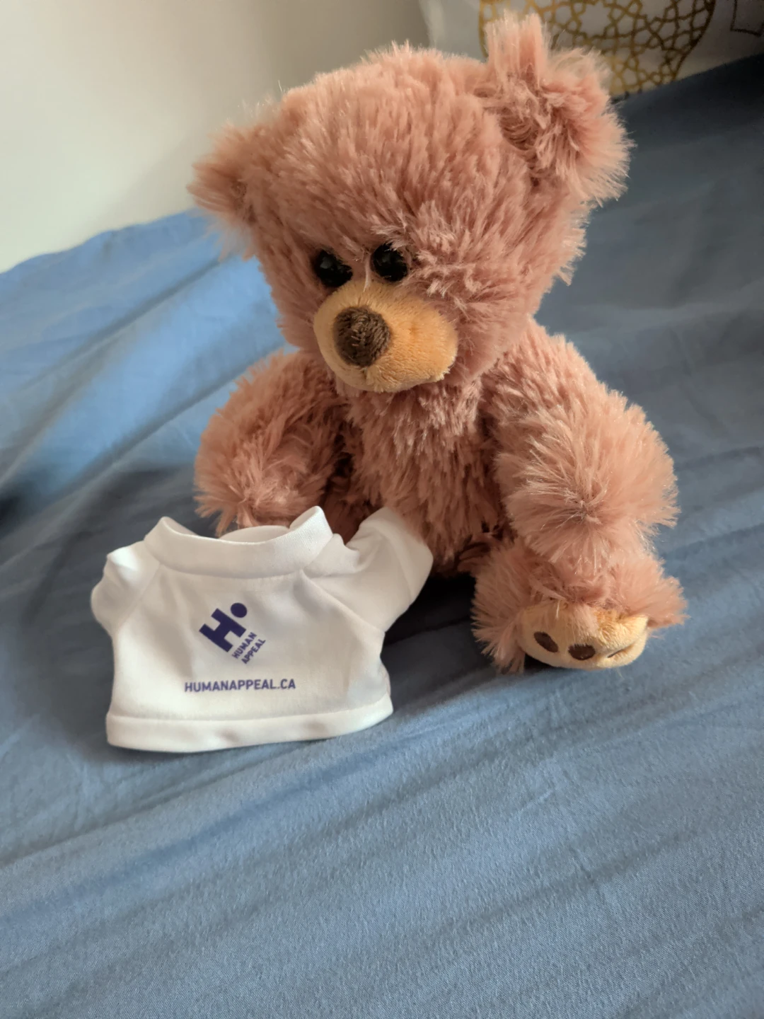 Teddy Bear with T-shirt