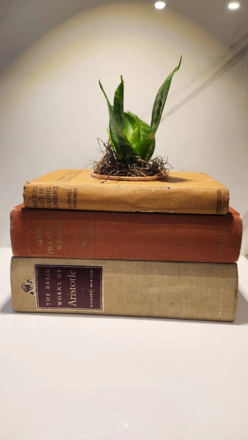 Upcycled orange vintage books planter with plants