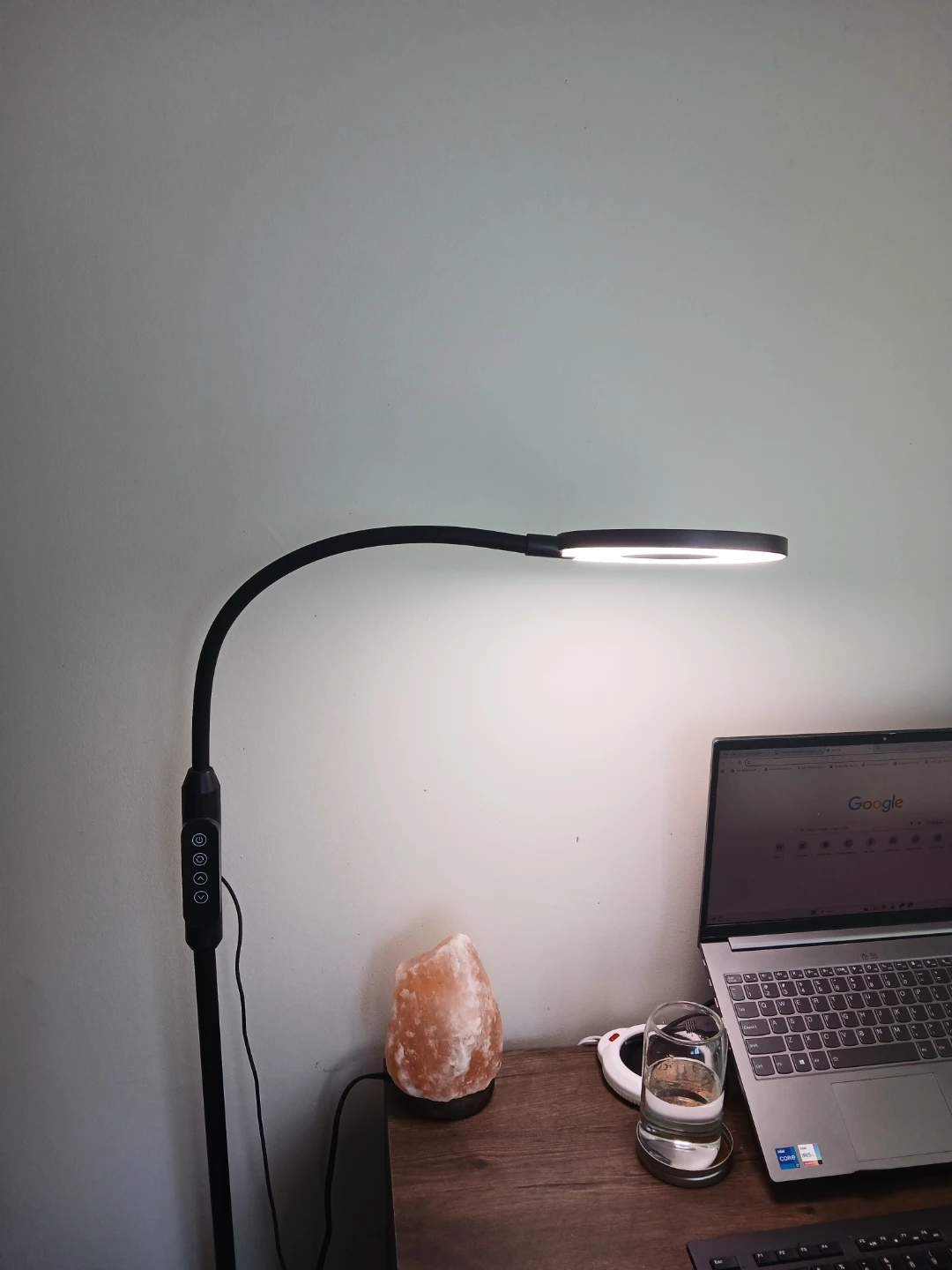 Gooseneck light adjustable flexible floor lamp - photo 3