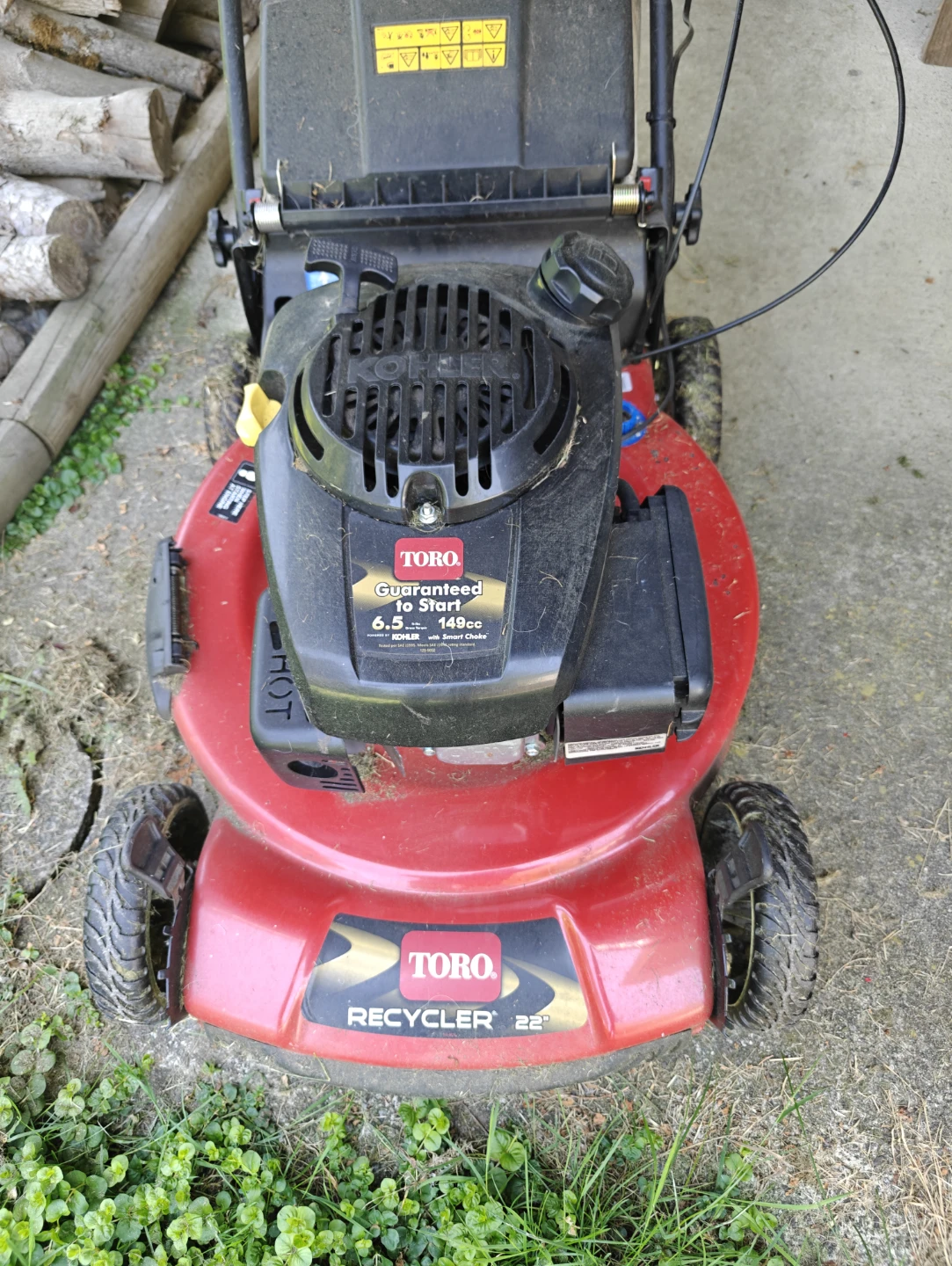 Toro Recycler 22" Self-Propelled Lawnmower