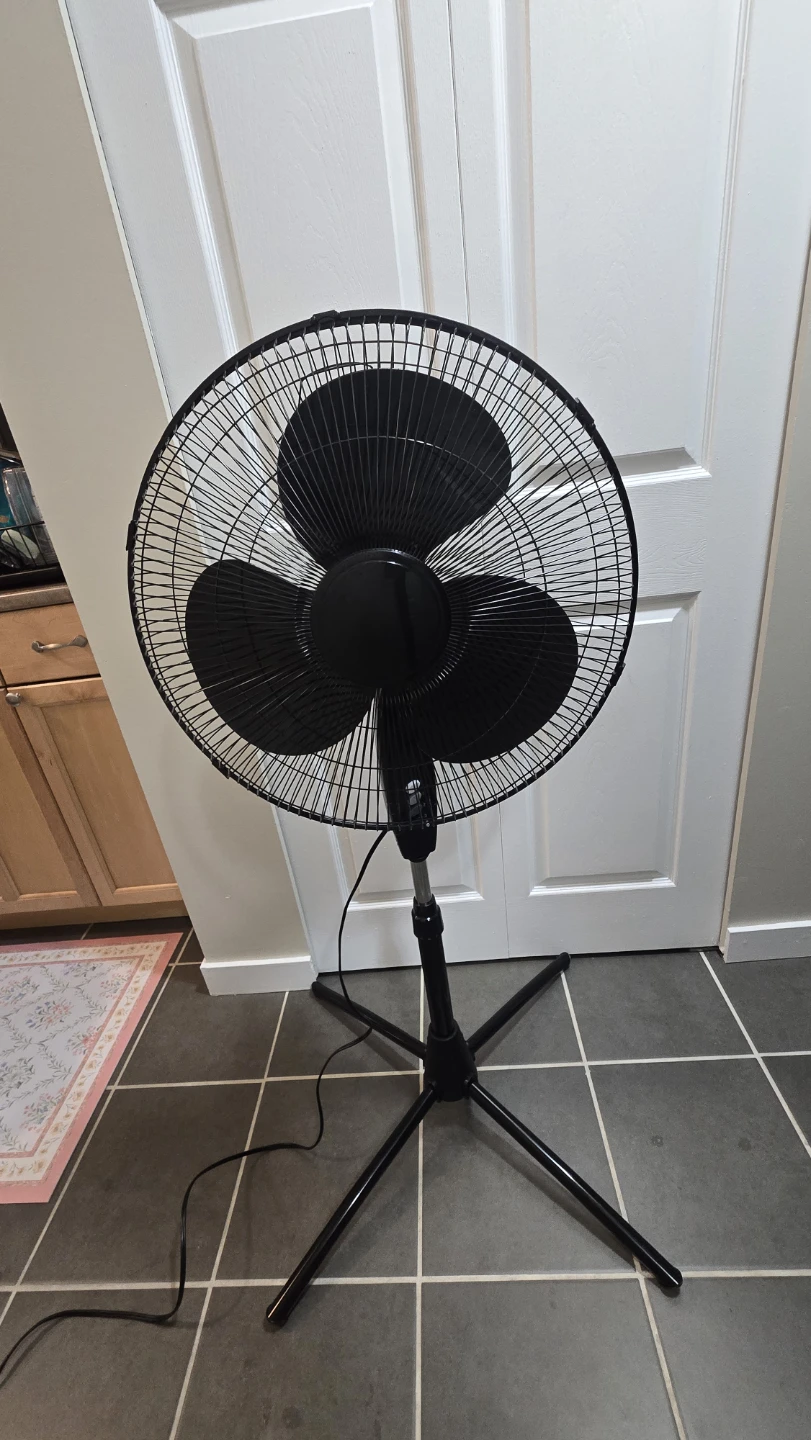 Black Rotating 3 Speed Pedestal Fan