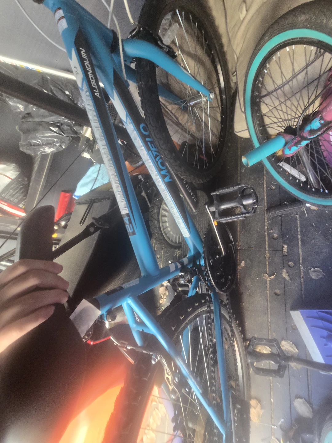 Algonquin Movelo 24" Kids Bike