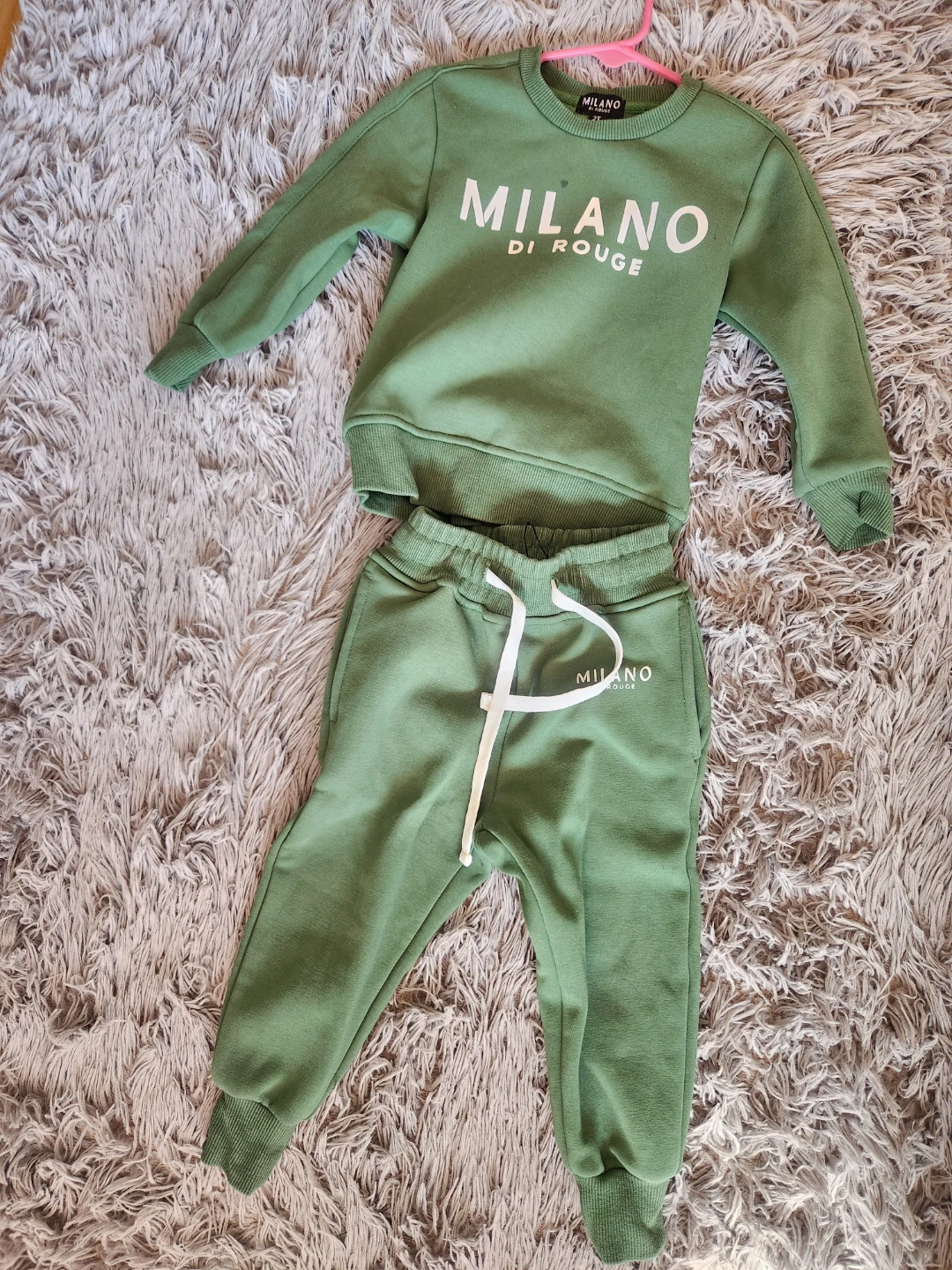 Milano Di Rouge Green Sweatshirt and Pants Set - photo 3