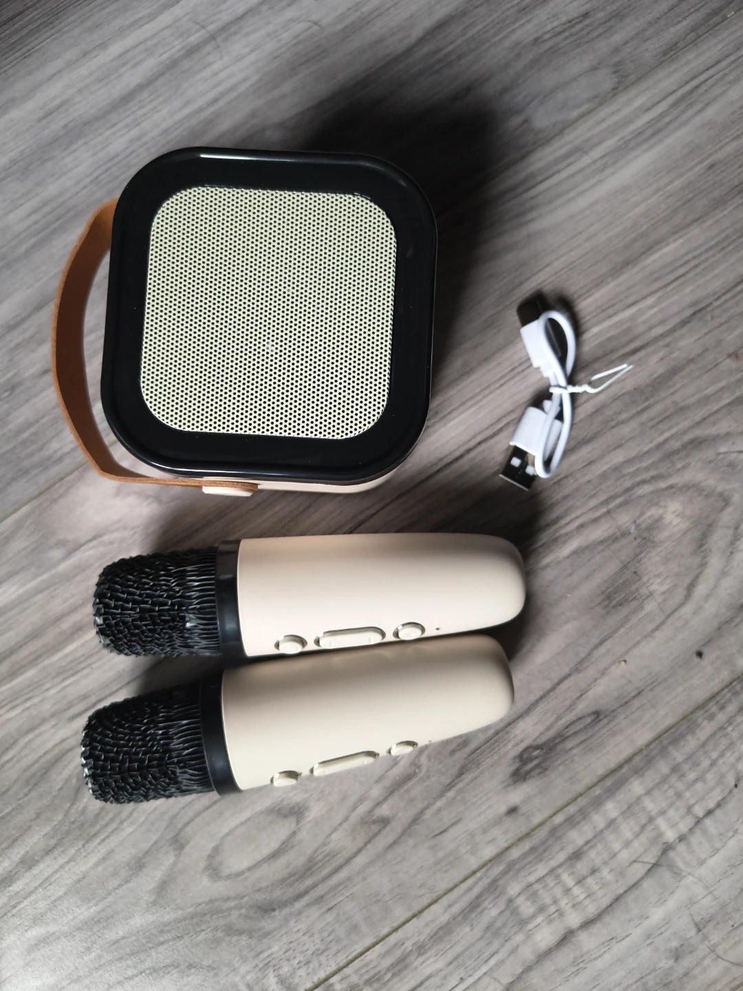Karaoke Machine Speaker with 2 Microphones - photo 2