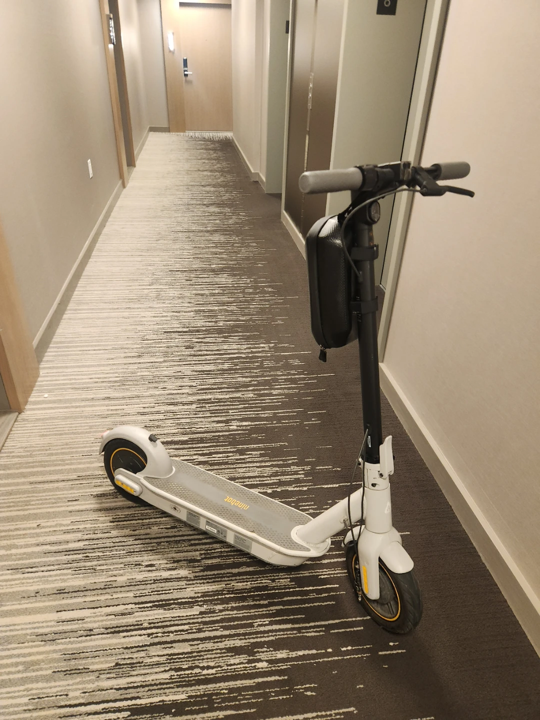 Ninebot Electric KickScooter
