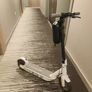 Ninebot Electric KickScooter