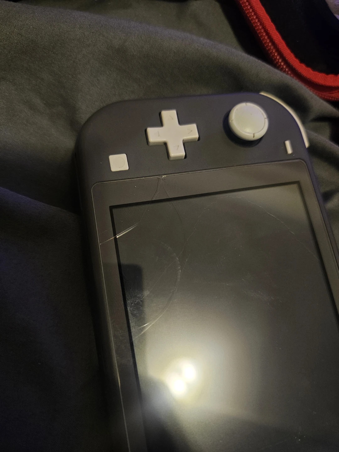 Nintendo Switch Lite - Gray - photo 2