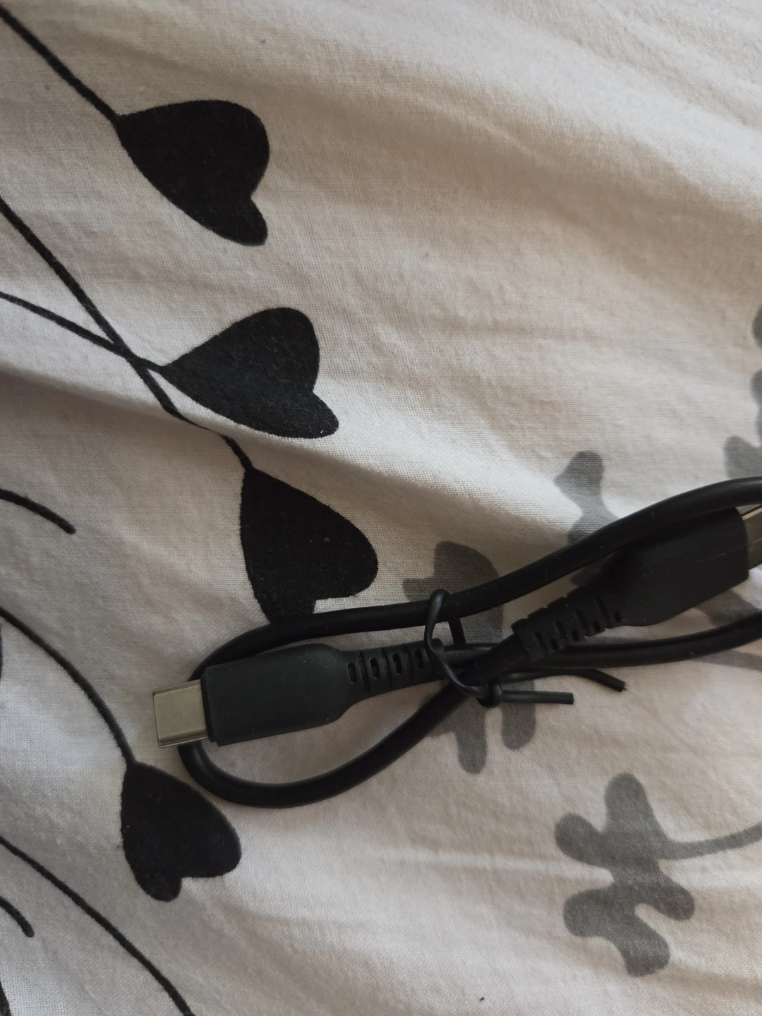 USB-C to USB-A Charging Cable - photo 2