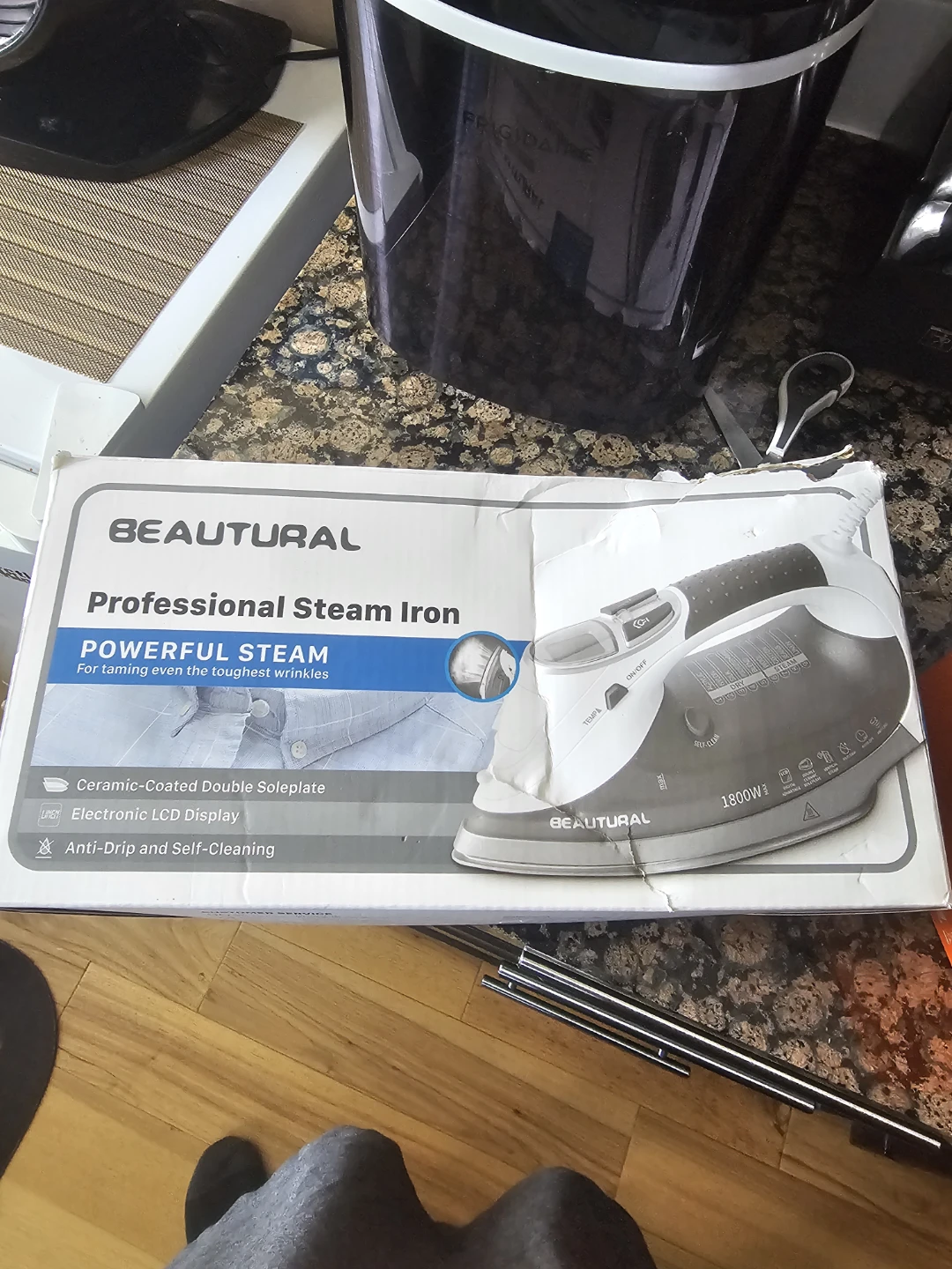 Professional Steam Iron
