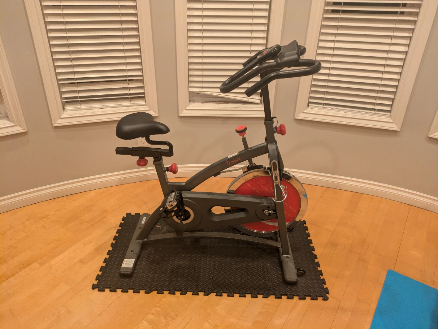 Sunny Health & Fitness Indoor Exercise Bike