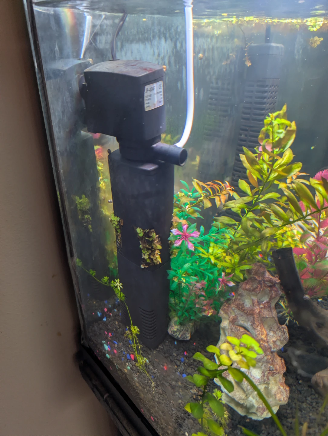 Curved Front Aquarium with Stand - photo 3