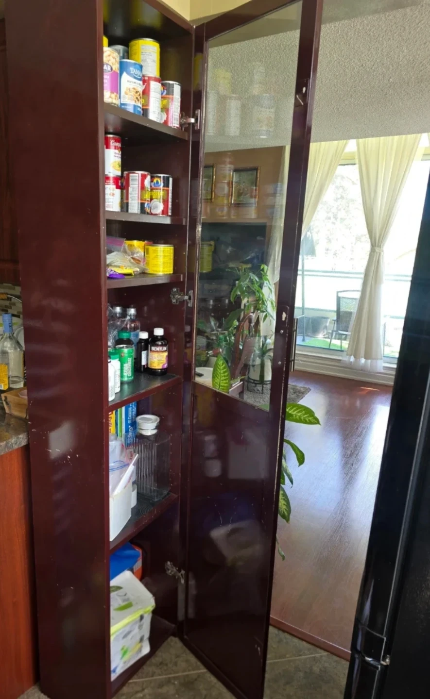 Tall Kitchen Pantry Cabinet with Glass Door - photo 2