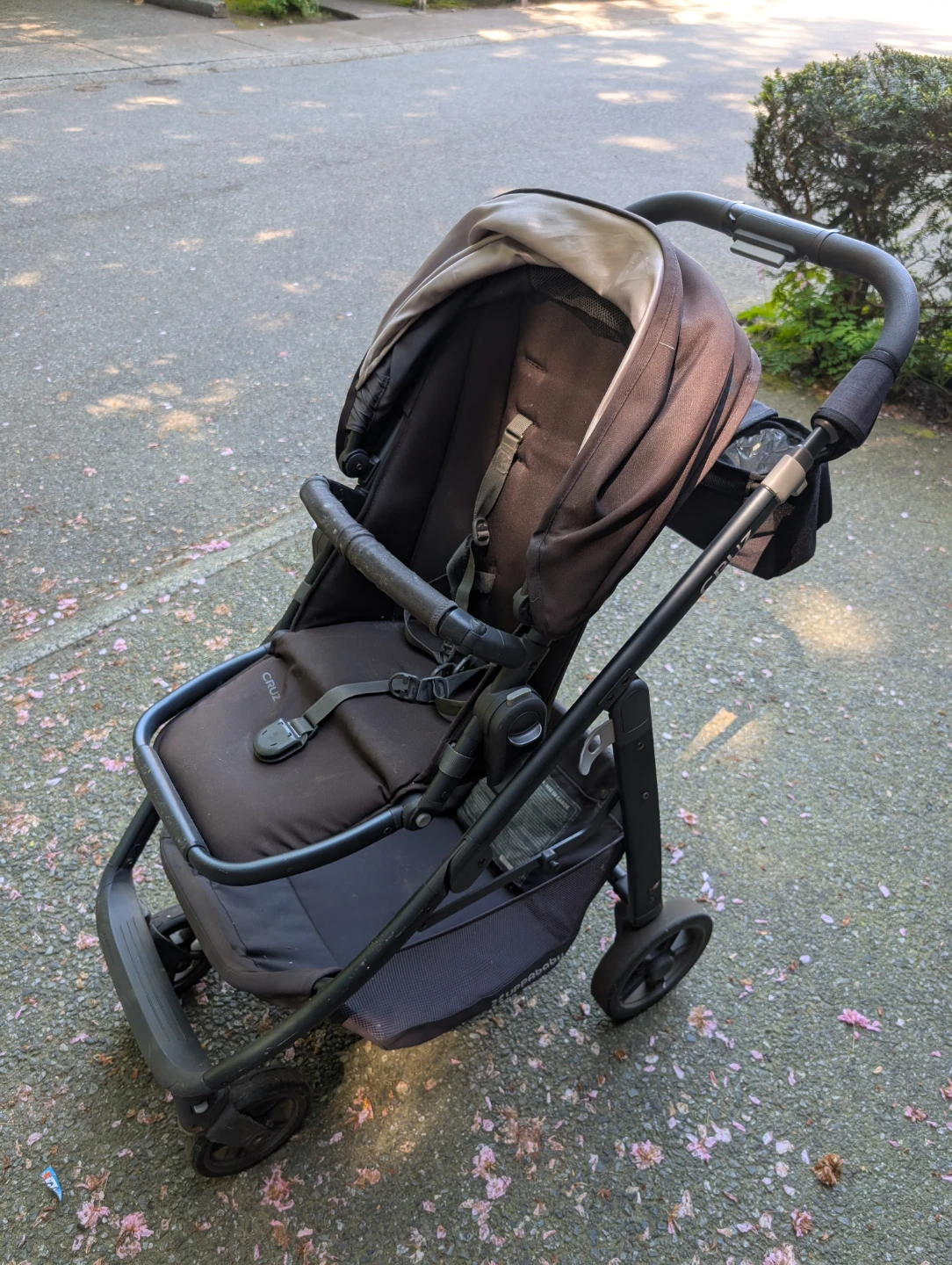 UPPAbaby Cruz Stroller