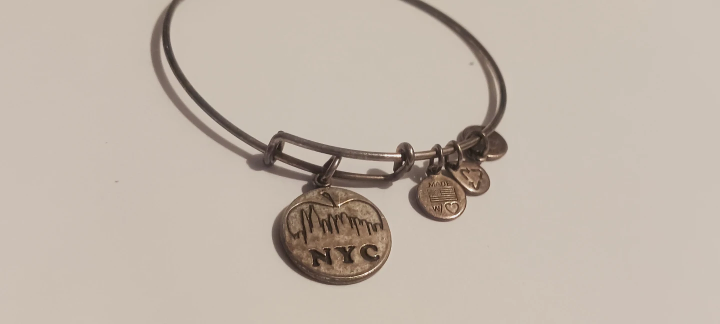 Alex and Ani NYC Skyline Charm Bangle Bracelet