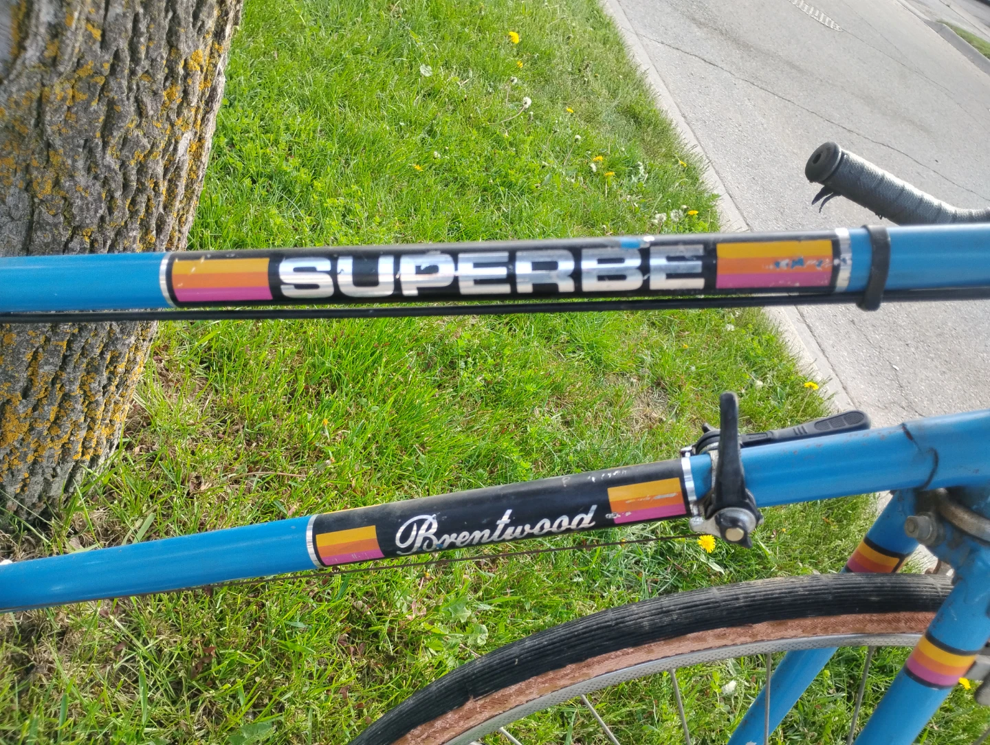 Superbe Brentwood Road Bike - photo 2