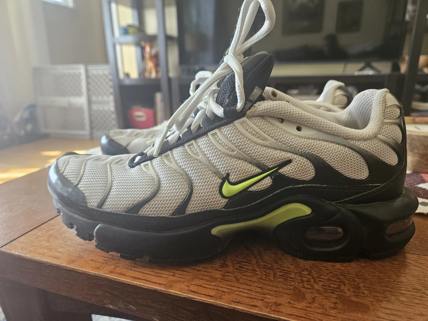 Nike Air Max Plus Tn Tuned Air Sneakers - photo 3