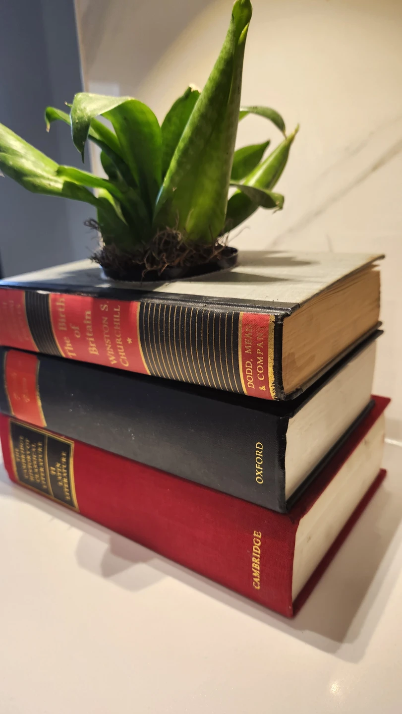 Upcycled red and black vintage books planter with plant - photo 3
