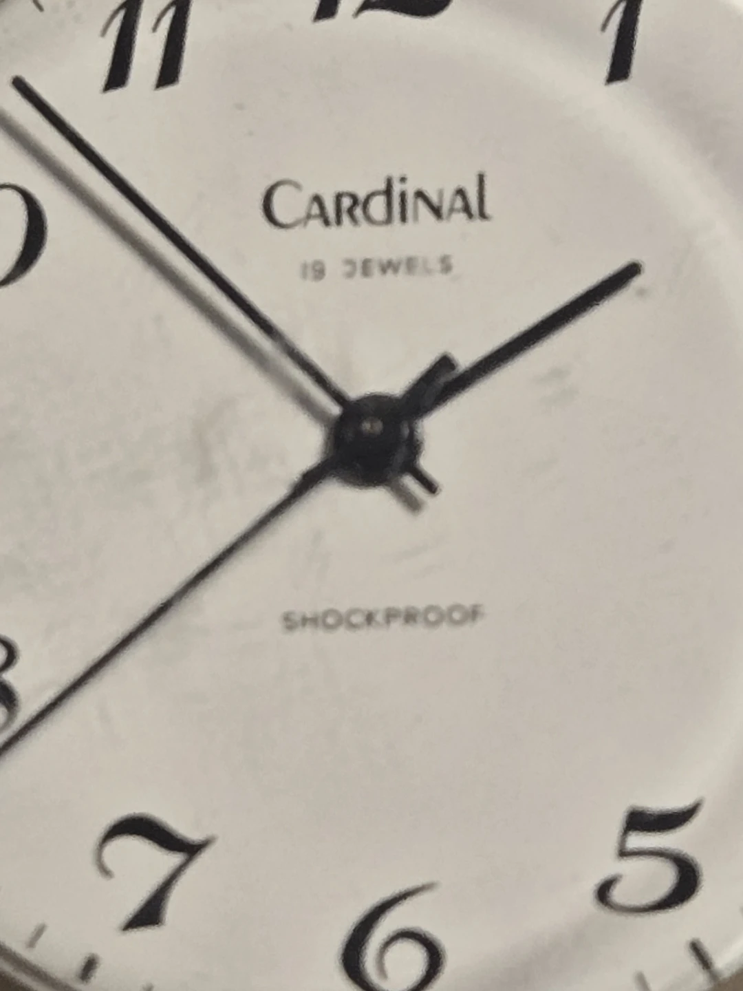Cardinal 19 Jewels Shockproof Pocket Watch - photo 3