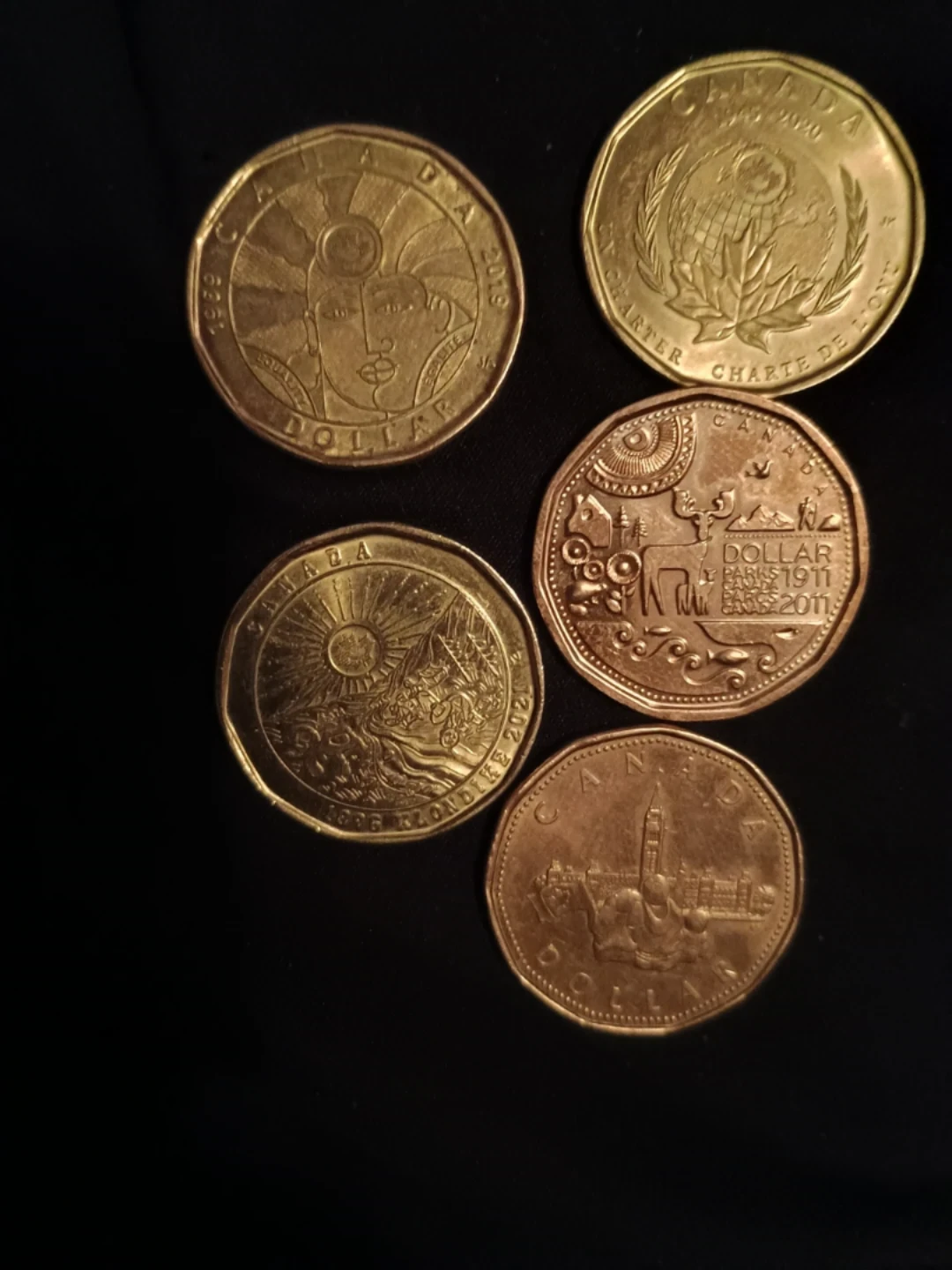 Collection of Canadian Dollar Coins - photo 4
